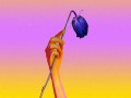 Lonely (Steve Aoki Remix)