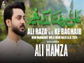 Ali Raza Ke Bagair