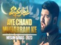 Aye Chand Muharram Ke