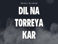 Dil Na Torreya Kar