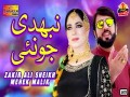 Nibhdi Jo Nai