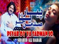 Pyaar Dy Ya Sadman Jo