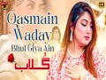 Qasmain Waday Bhul Giya Ain