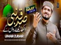 Sadqa Nabi Da