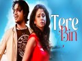 Tere Bin Main Yun Kaise Jiya