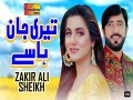 Teri Jaan Hasay