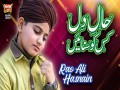 Haal E Dil