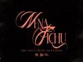 Nena Fichu