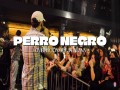 Perro Negro