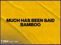 Much Has Been Said