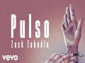 Pulso