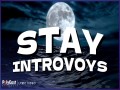 Stay