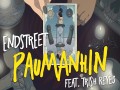 Paumanhin