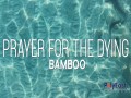 Prayer For The Dying