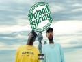 Poland Spring