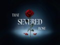 Severed Rose