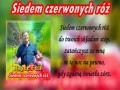 Siedem Czerwonych Róż