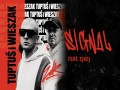 Signal
