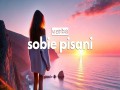 Sobie Pisani