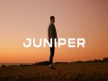 Juniper