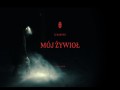 Mój Żywioł