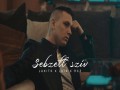 Sebzett Szív