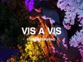 Vis A Vis