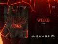Widzę