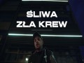 Zła Krew