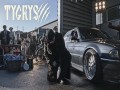 Tygrys
