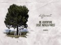Adventure