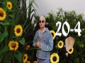 20-4