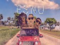 Esnu