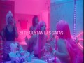 Si Te Gustan Las Gatas