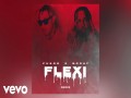 Flexi Remix