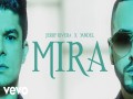 Mira (Salsa)