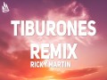 Tiburones Remix