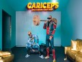 Cariceps