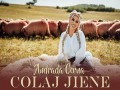 Colaj Jiene