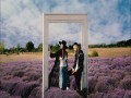 Iubire Cu Parfum De Lavanda