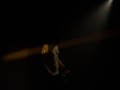 La Temelie