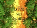 La Tine Sau La Mine