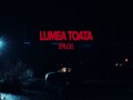 Lumea Toată