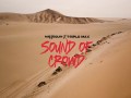 Sound Of Crowd