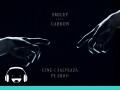 Cine-I Salveaza Pe Eroi?