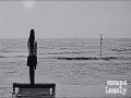 Lonely