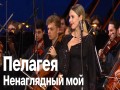 Nenaglyadnyi Moi