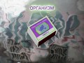 Organizm