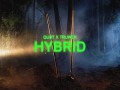 Hybrid
