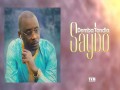 Saybo